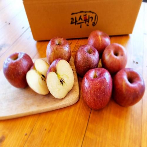 산지직송 경북 사과 가정용 7.5kg 소과 (40~48과)