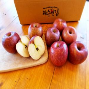산지직송 경북 사과 가정용 7.5kg 중과 (30~38과)